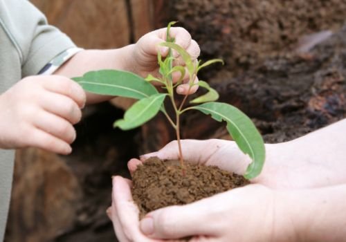 eco-friendly fertilizers